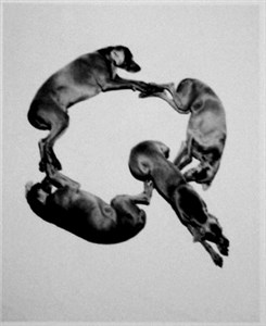 Image description is not available for 2001.075